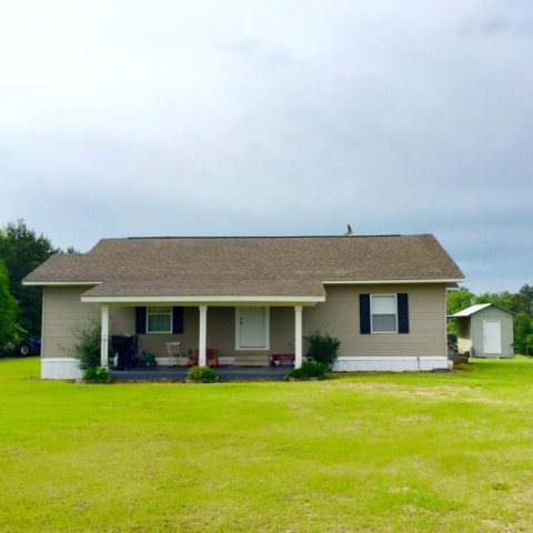 Main View