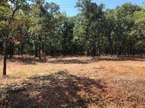 811 Cr 3451, Paradise, TX 76073 - photo 1