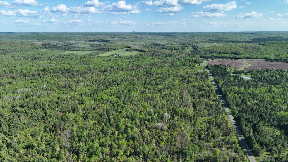 853 Calderwood Lot B Rd, Trout Creek, MI 49967 - photo 1