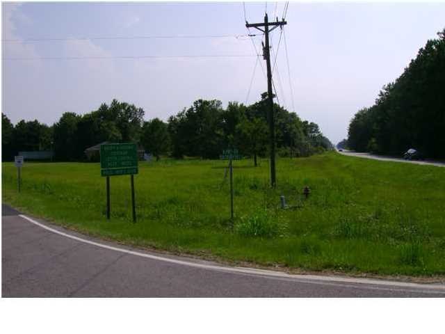 Primary Photo