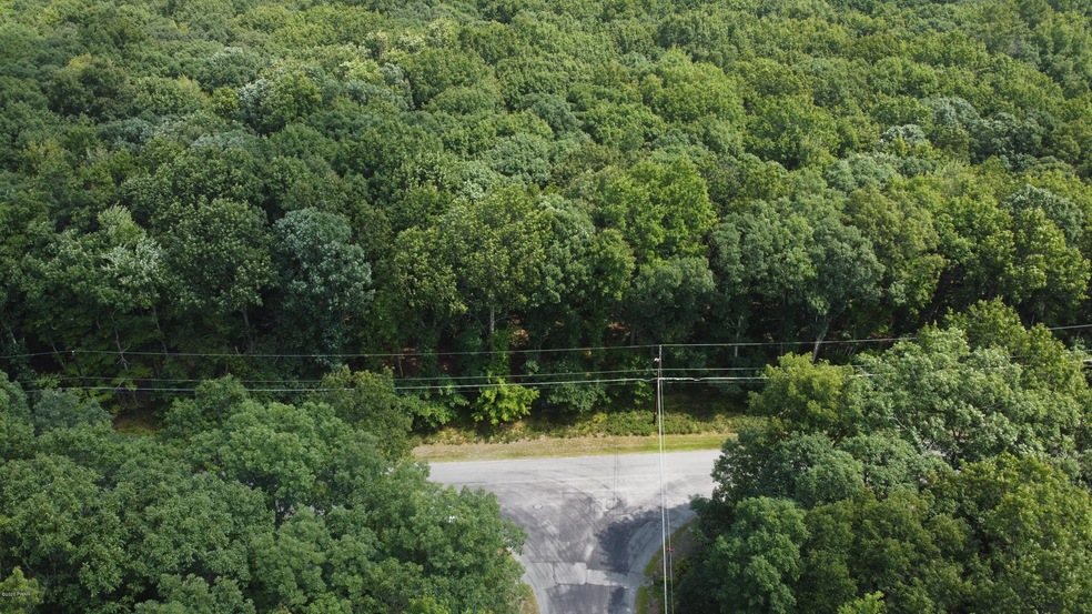 1054 Acacia Dr, Hawley, PA 18428 - photo 1