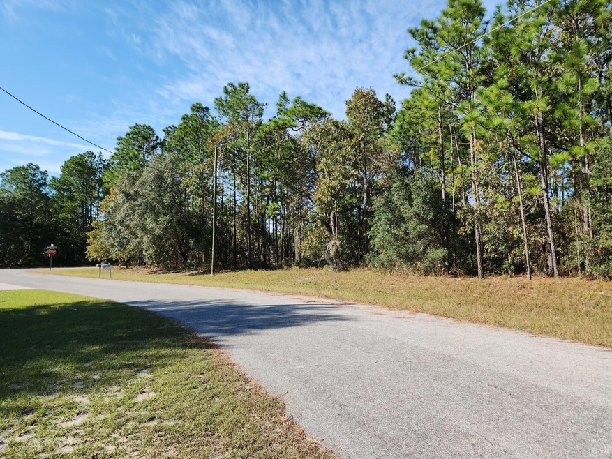 0 SW 60th Terrace unit R10848029, Ocala, FL 34473 - photo 1