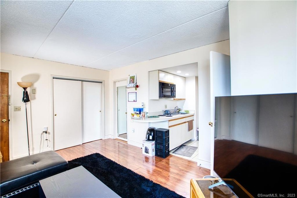 Royal Pavillion unit 209, Stamford, CT 06902 - photo 1