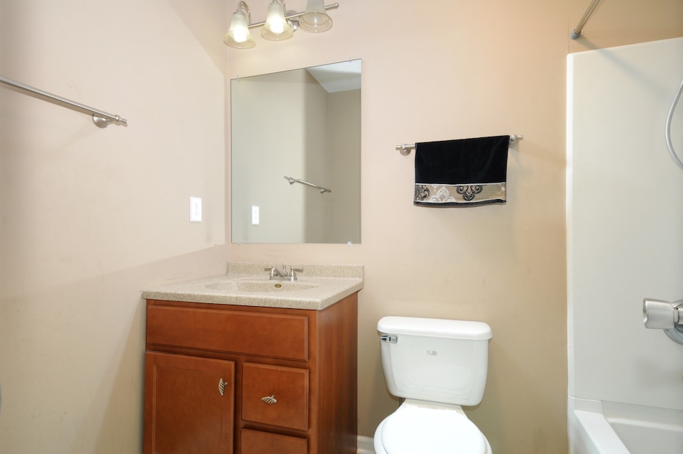 106 Mary St unit 2, Oswego, IL 60543 - photo 1