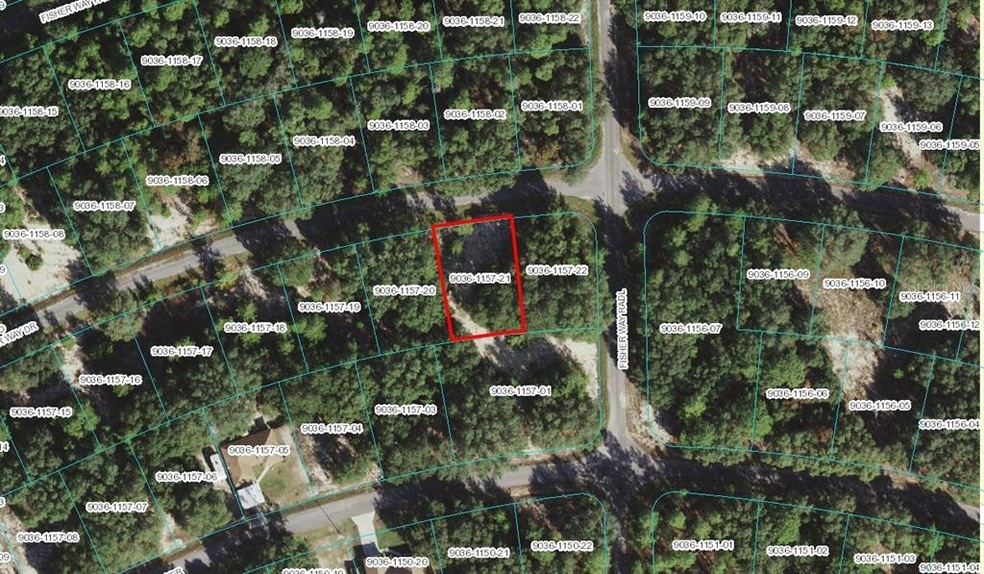 0 Fisher Way Dr unit A4540420, Ocklawaha, FL 32179 - photo 1