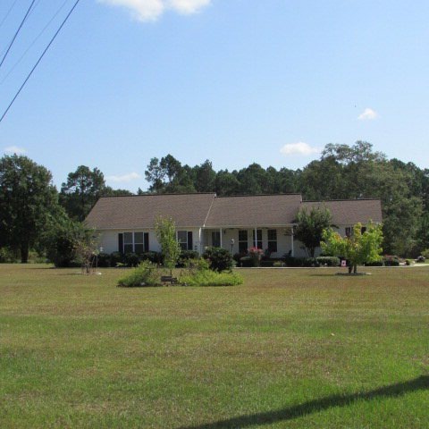 Main View