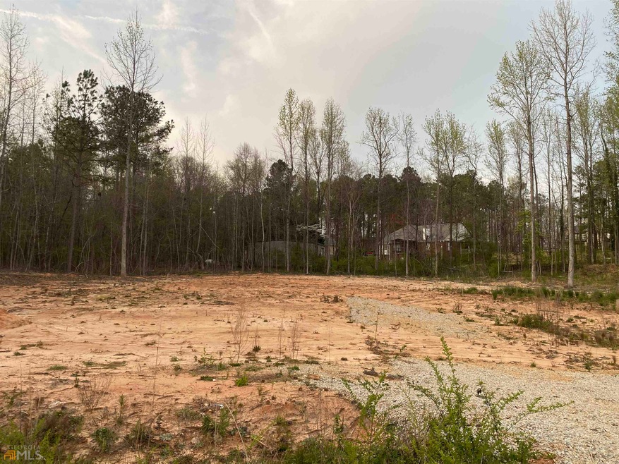 0 Briarwood Rd unit 20029917, Stockbridge, GA 30281 - photo 1