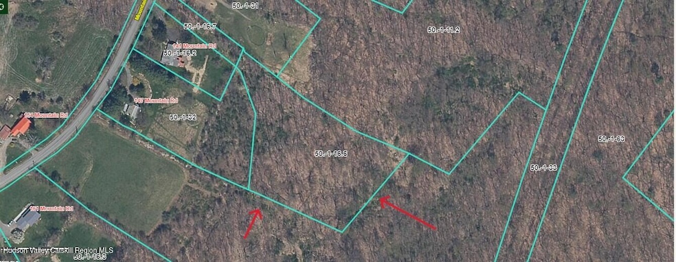 Tbd Mountain Rd, Bloomingburg, NY 12721 - photo 1