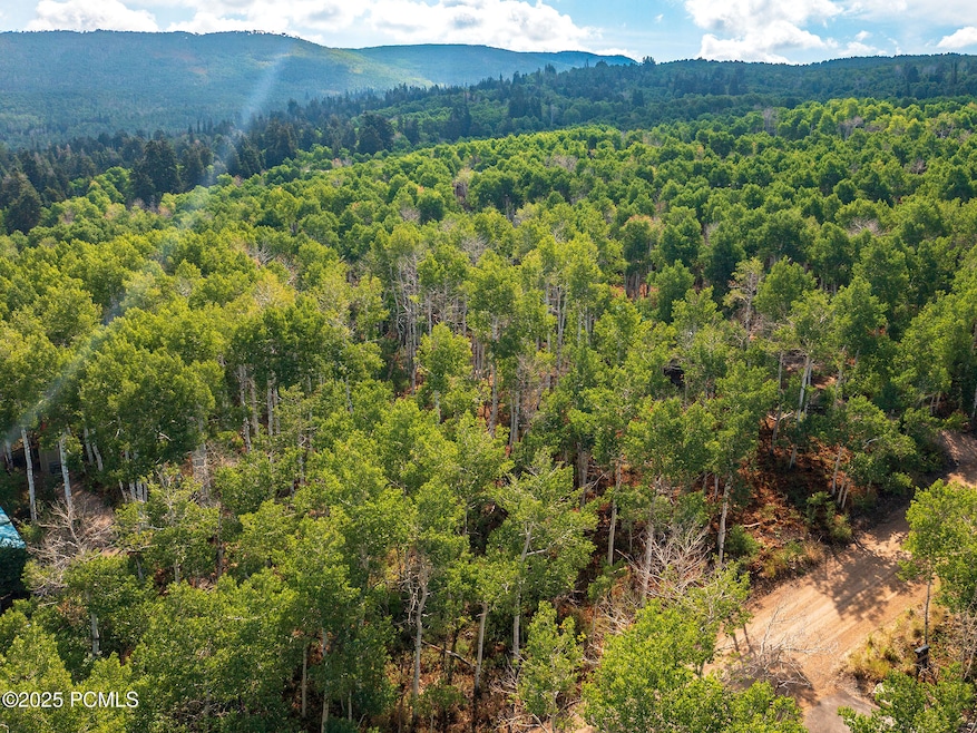 2919 Green Briar Way unit 543, Timber Lakes, UT 84032 - photo 1