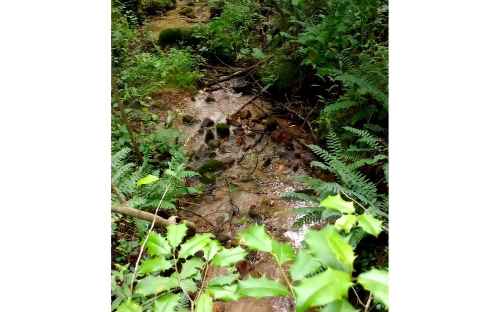 000 Big Creek Rd, Ellijay, GA 30540 - photo 1