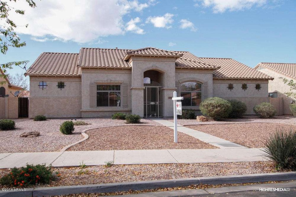Oversized Lot!