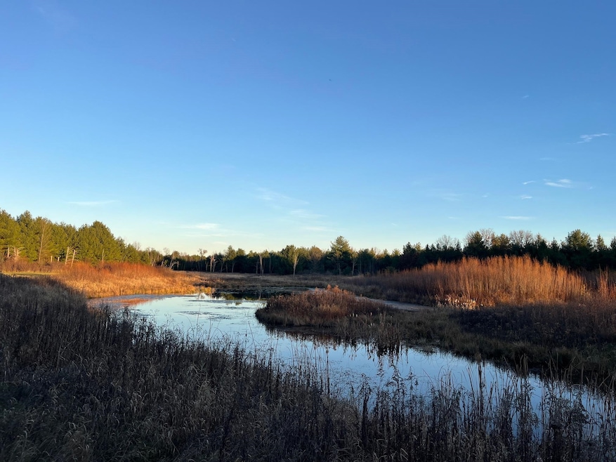 33 Acres 10th Ave, Adams, WI 53910 - photo 1