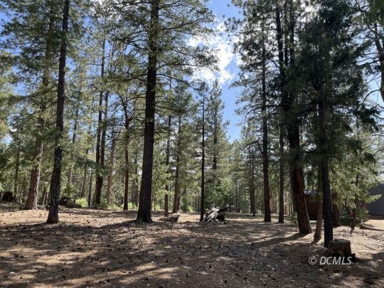 Great spot for your cabin