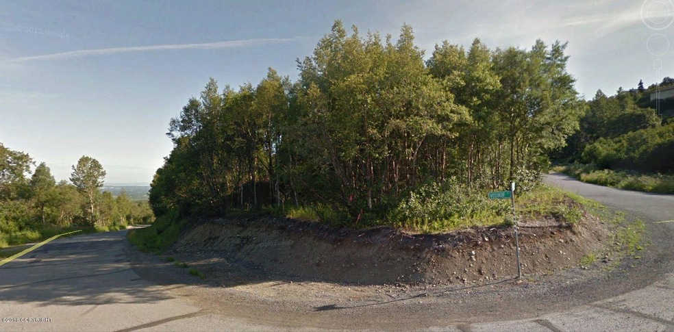 Kasilof Lot 1