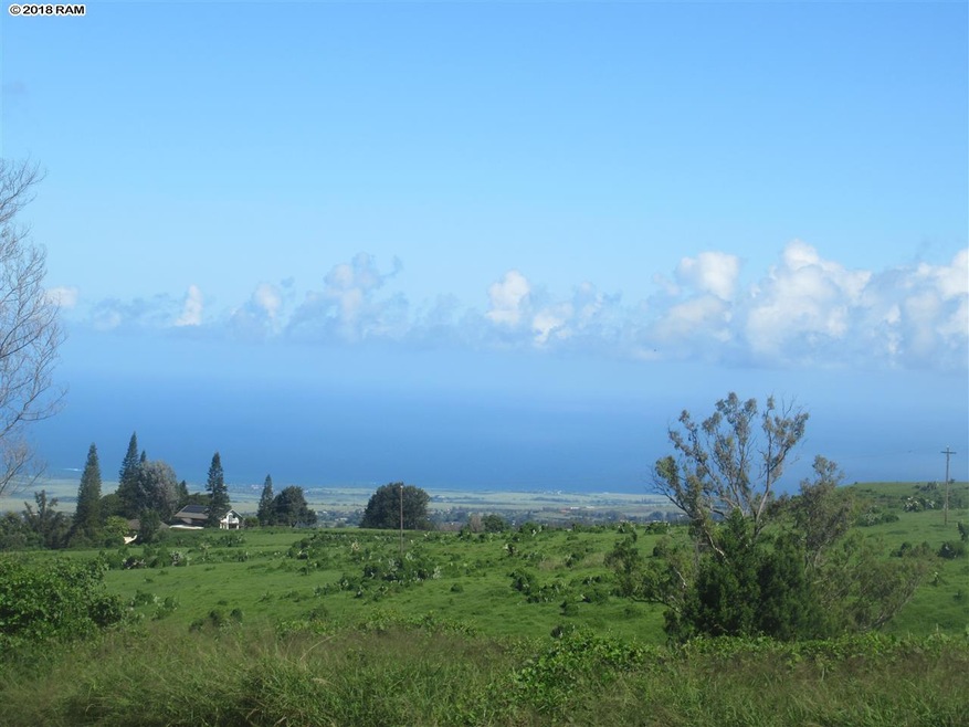 0 Lower Kimo Dr unit 26-A 380082, Kula, HI 96790 - photo 1