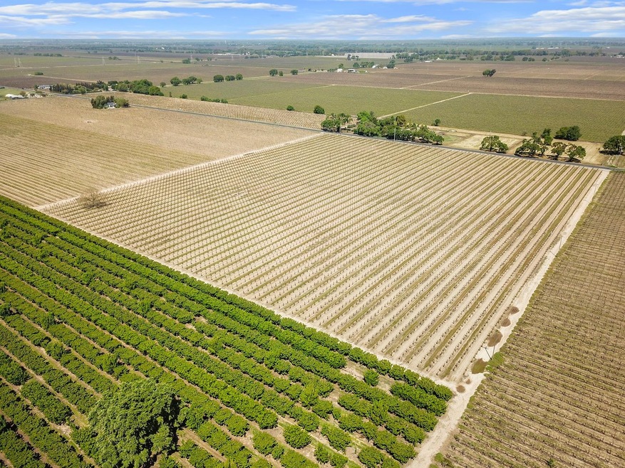 3878 W Peltier Rd, Lodi, CA 95242 - photo 1