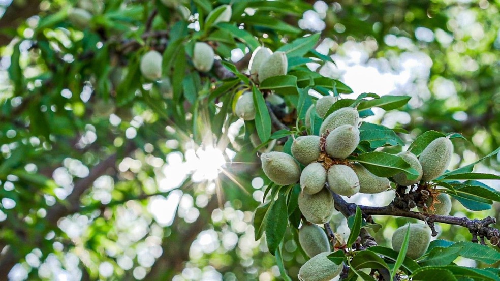 0 Lassen Ave unit 225013894, Five Points, CA 93624 - photo 1