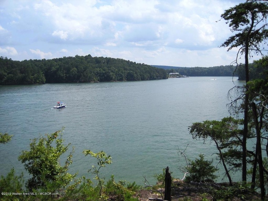 View of lake from the lot.