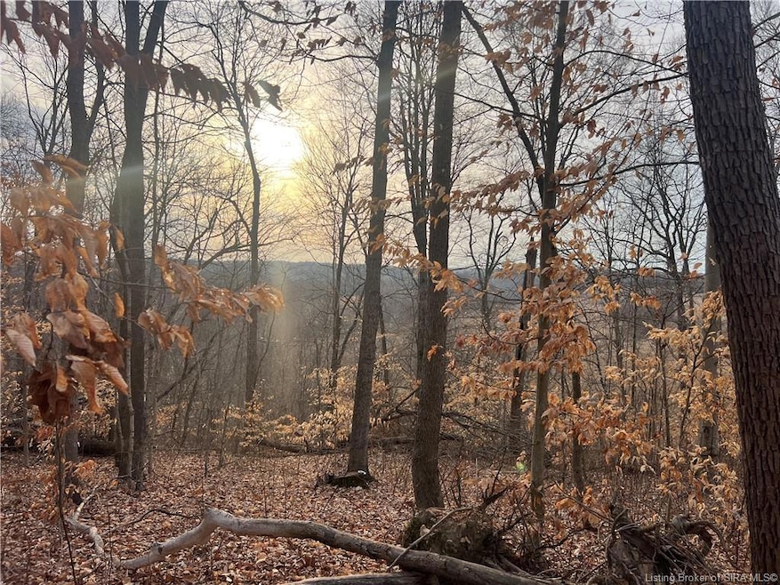 0 Hwy 135 unit Tract 3 2025011288, New Salisbury, IN 47161 - photo 1