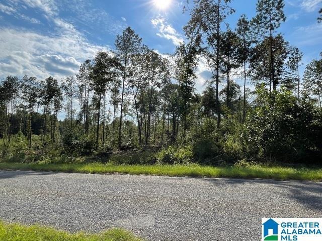 3619 County Road 30 unit Tract 2, Roanoke, AL 36274 - photo 1