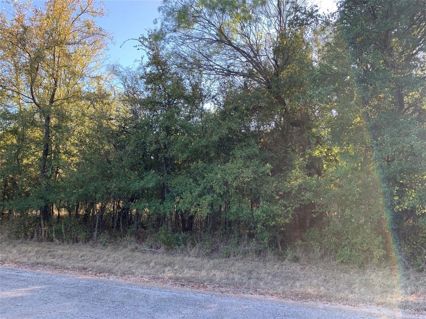 39183 Misty Ridge Dr, Whitney, TX 76692 - photo 1