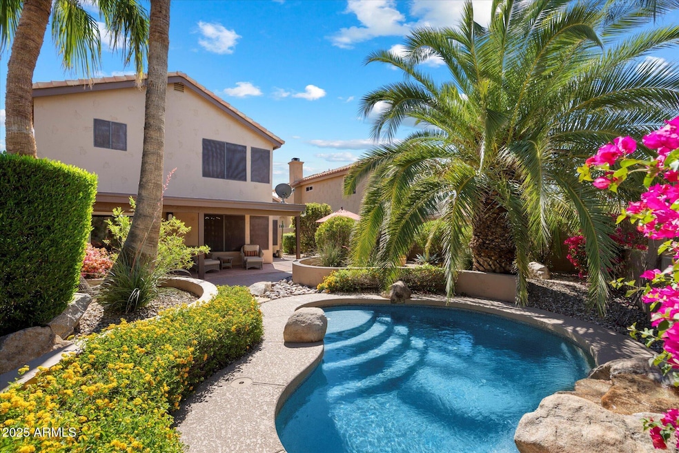 Tropical Back Yard