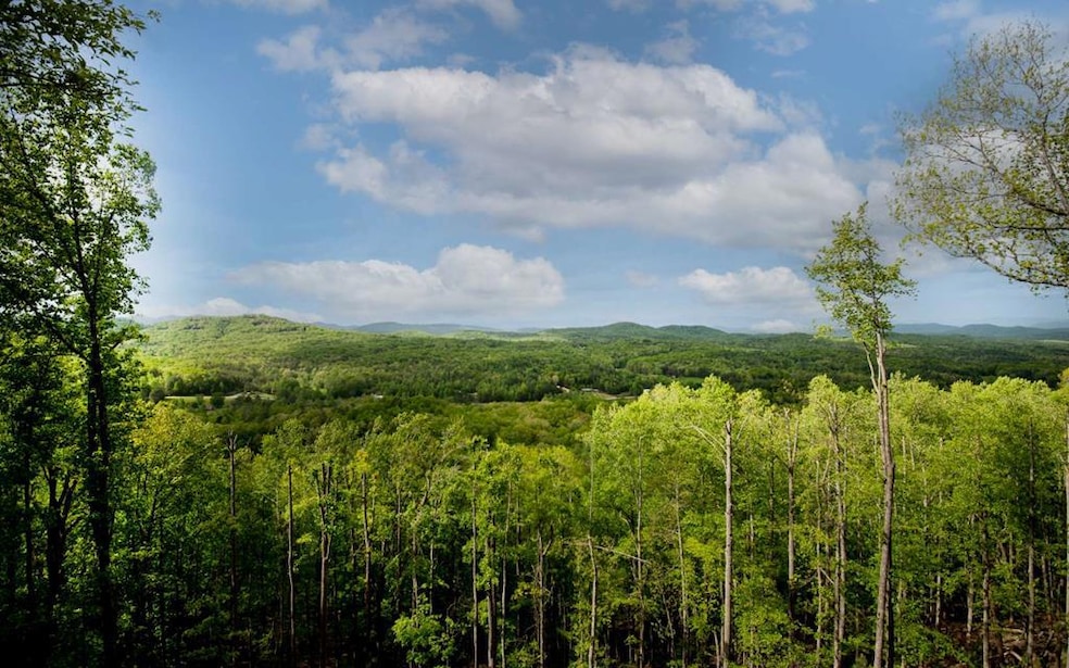Lot 25 Scouts Overlook Ln, Morganton, GA 30560 - photo 1