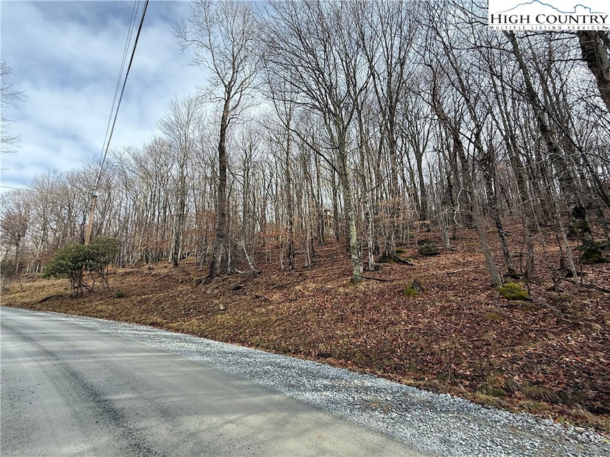 109 Hawthorne Rd, Beech Mountain, NC 28604 - photo 1