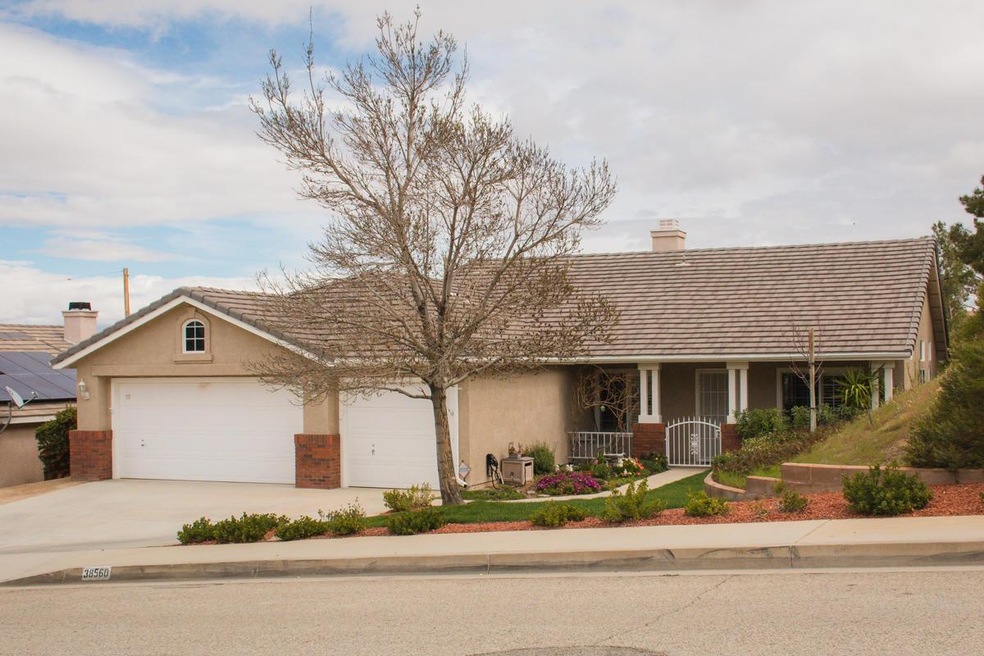 38560 Juniper Tree-1