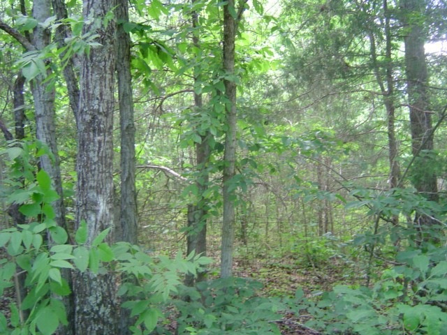 0 Mill Rd, Shelbyville, TN 37160 - photo 1