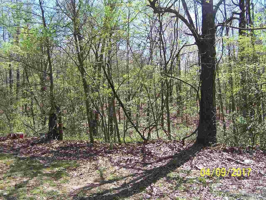 2.39 acres +/- County Road 779 unit Tract 3, Jonesboro, AR 72401 - photo 1