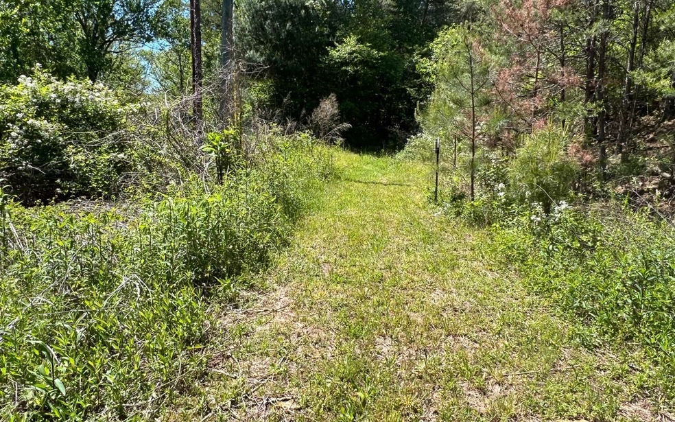 393 Old Orchard Rd, Ellijay, GA 30536 - photo 1