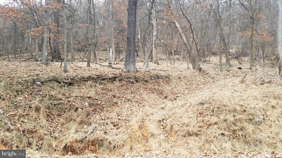 2 Trough Overlook Rd, Old Fields, WV 26845 - photo 1