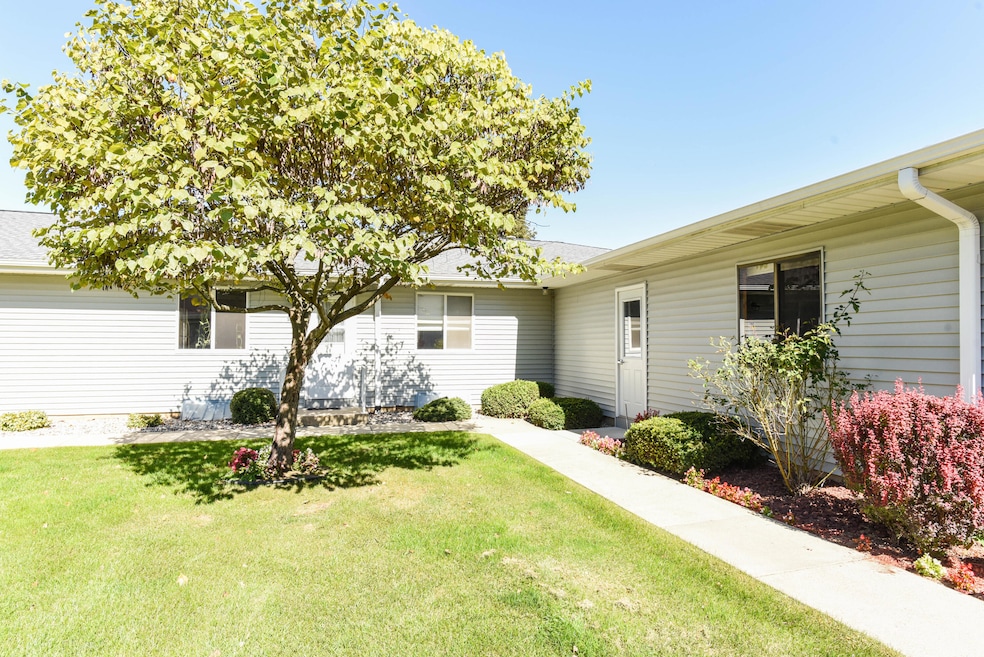 Green Meadow 5061-1