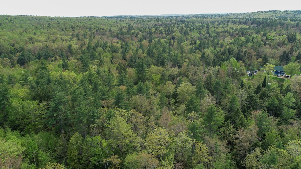 DJI_0333