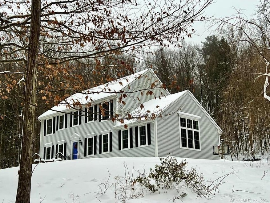 123 Skinner Rd, Winsted, CT 06098 - photo 1