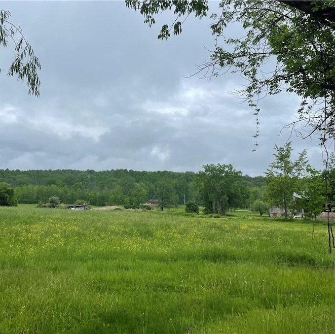 0 Hall Center Rd unit R1652033, Marion, NY 14505 - photo 1