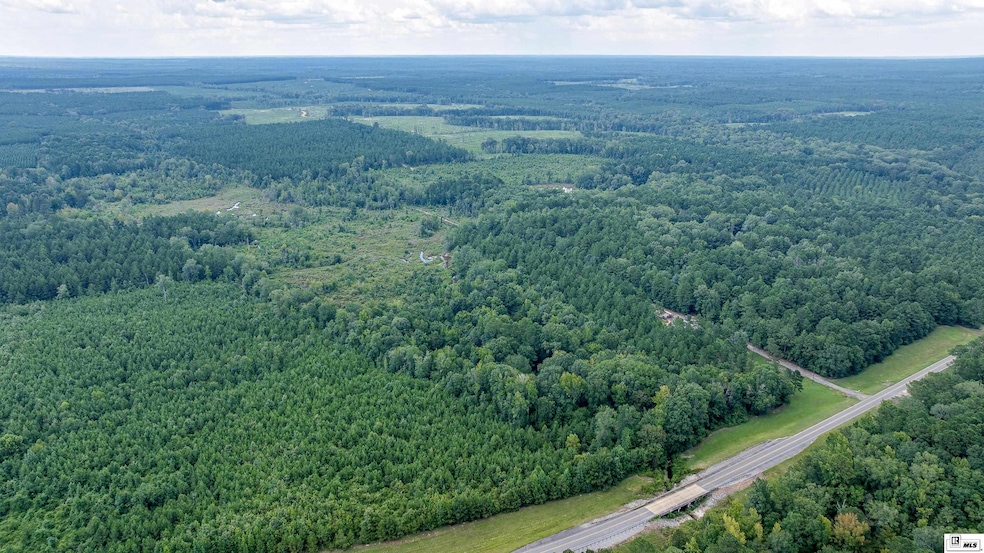 2350 Highway 499, Sikes, LA 71473 - photo 1