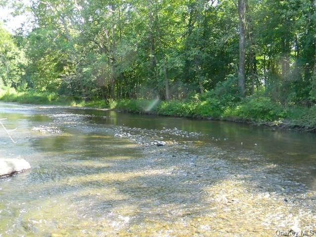 0 Craig Ln, Dover, NY 12522 - photo 1