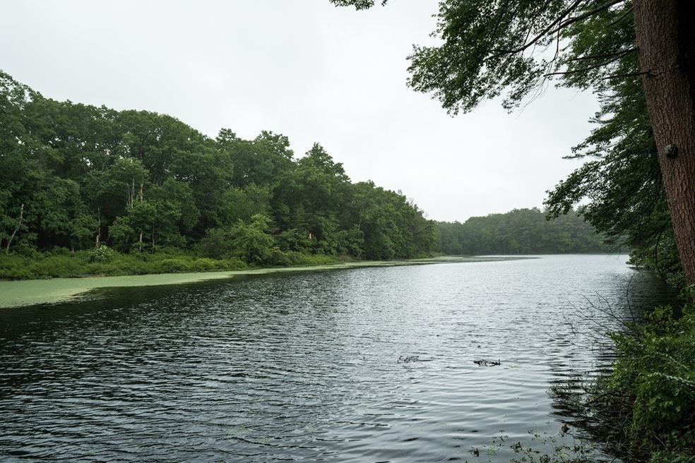 9 King Philip Trail, Norfolk, MA 02056 - photo 1