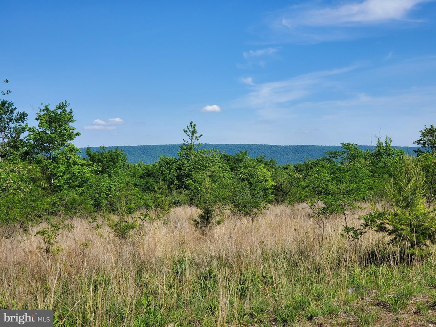 33.18 Acres Apple Harvest Dr, Glengary, WV 25421 - photo 1