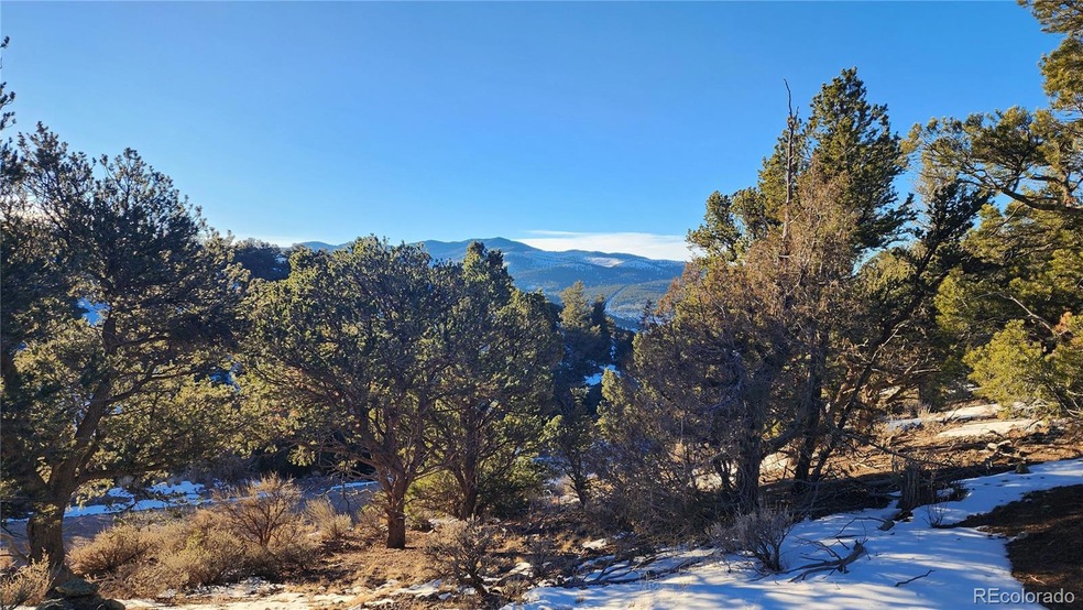 4480 Laidlaw Rd, Fort Garland, CO 81133 - photo 1