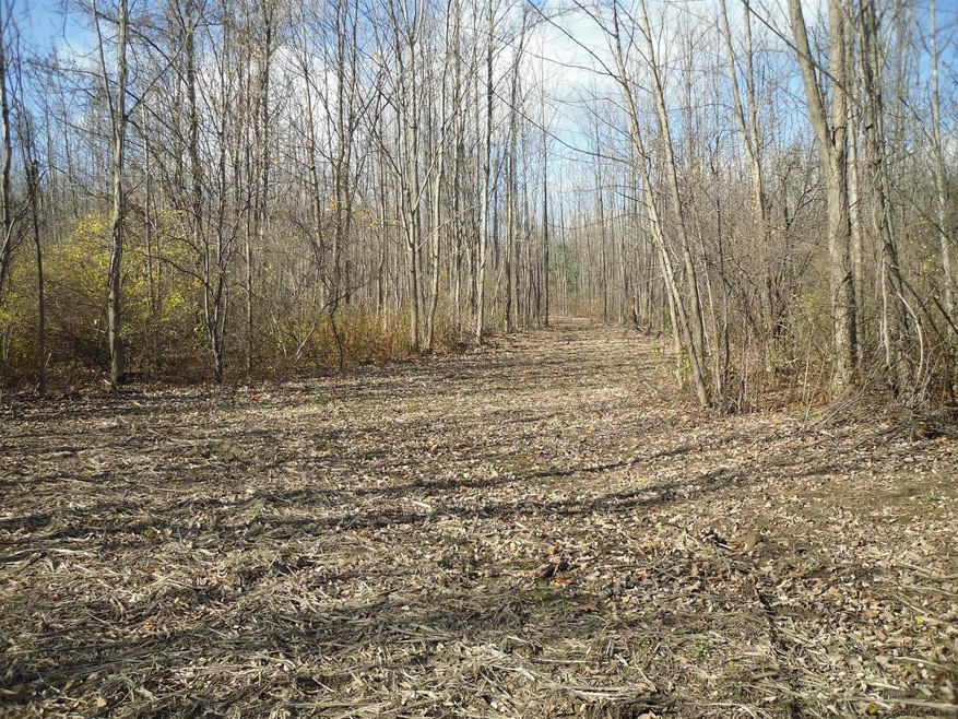 Sold $165,000 • Co-Listing Agent