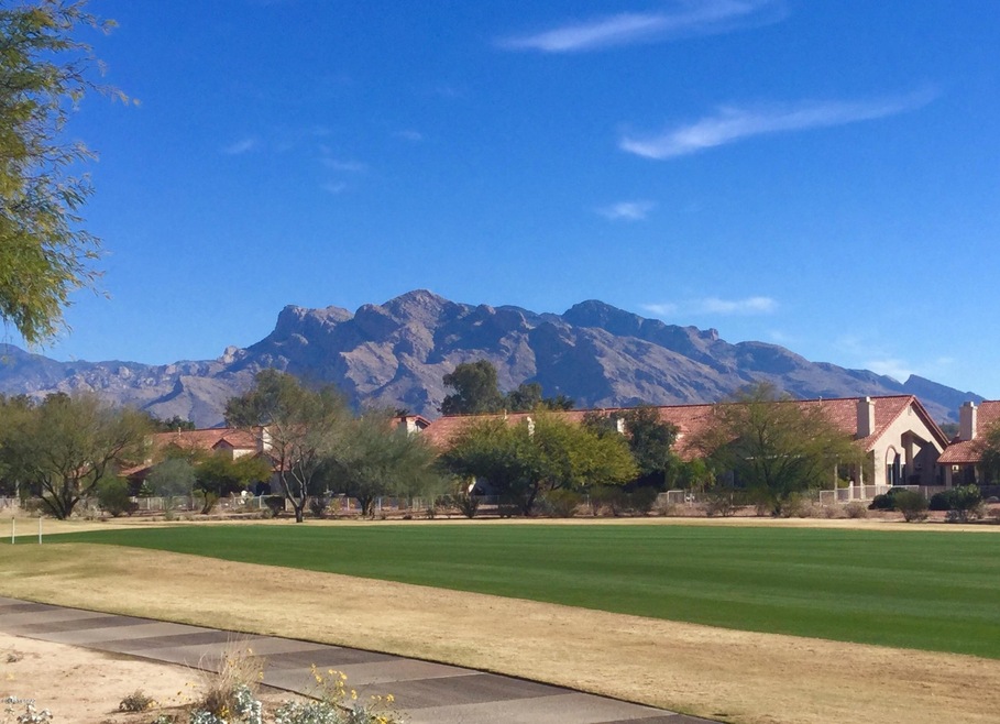 Great views from 8700 N Arnold Palmer