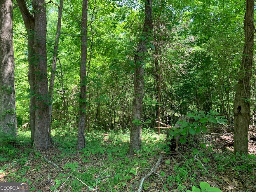 1030 Chambers Ct, Watkinsville, GA 30677 - photo 1