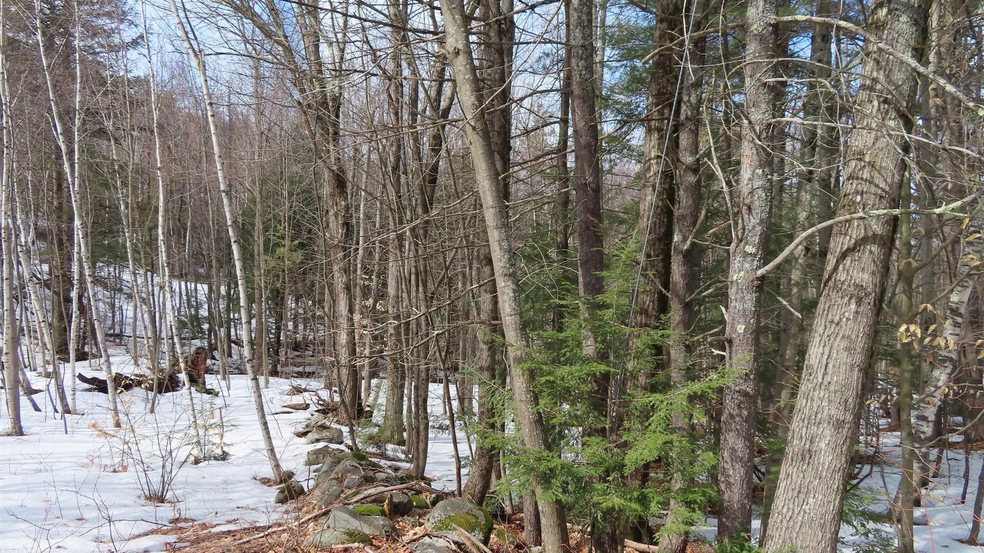 47 Juniper Ridge Rd, Gilford, NH 03249 - photo 1