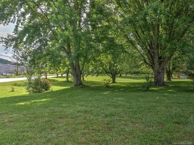Beautiful lot with road frontage and gorgeous tree