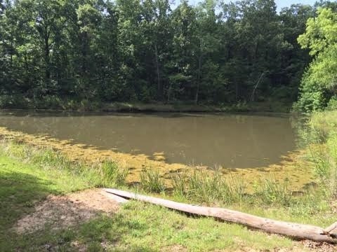 1669 Greene 611 Rd, Paragould, AR 72450 - photo 1