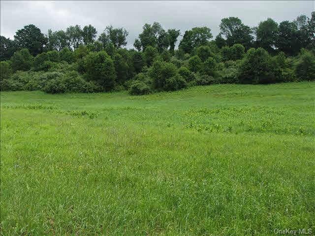 912 Route 83, Pine Plains, NY 12567 - photo 1