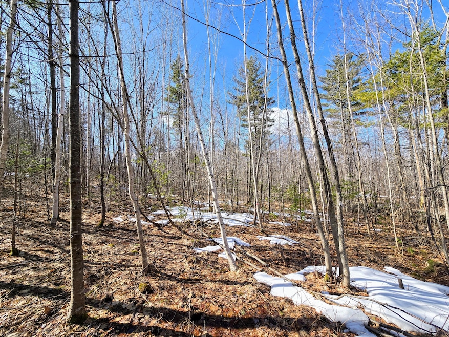 0 Sabattus Trail Rd unit 1617555, Lovell, ME 04051 - photo 1